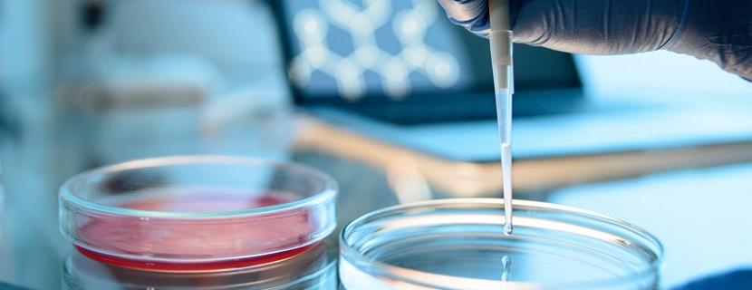 plateforme crowdfunding pour la recherche medicale
