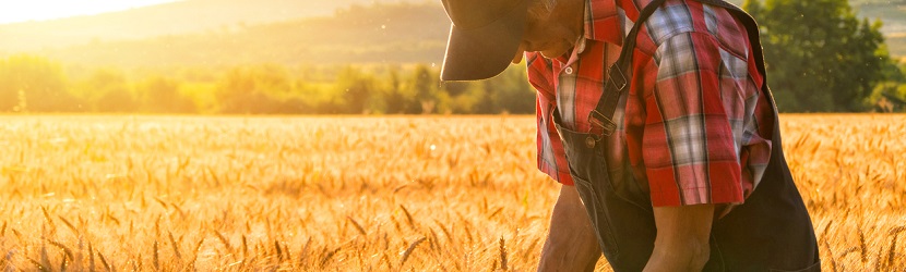 Agriculteur 