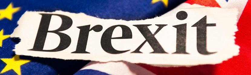 Drapeau Anglais et Europeén