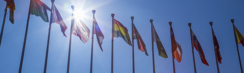 Drapeau du G20 