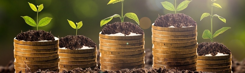Finances durables 
