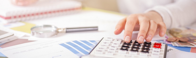 Gestion des finances