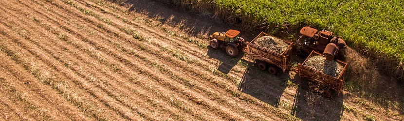 secteur agricole