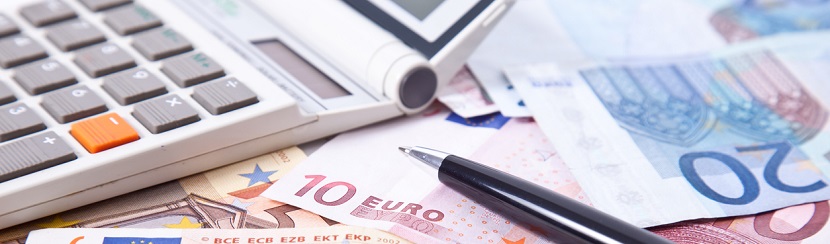MONNAIE EURO
