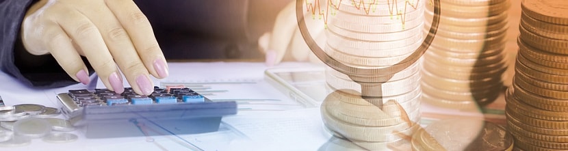 un professionnel en gestion financiere d'entreprise