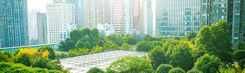 immobilier commercial