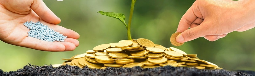 gestion des finances