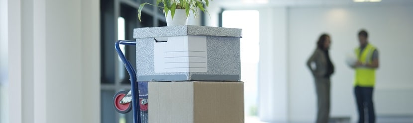immobilier commercial