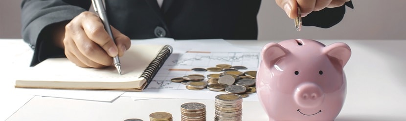  une professionnelle en gestion des finances