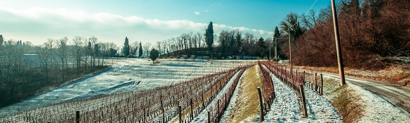 paysage 