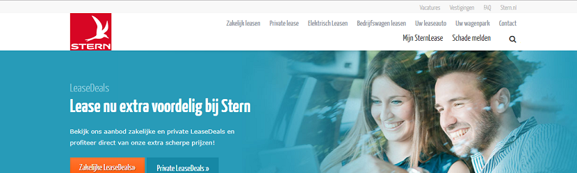 capture ecran du site Sternlease