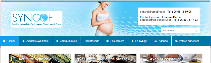 capture ecran du site Syngof